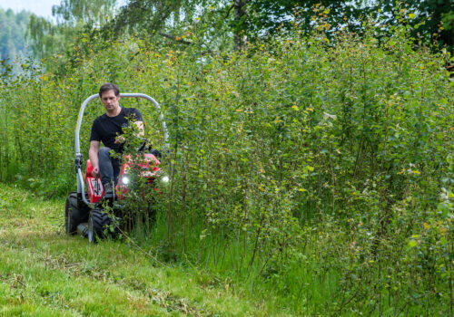 DSC_1910-Vylepšené-NR kopie