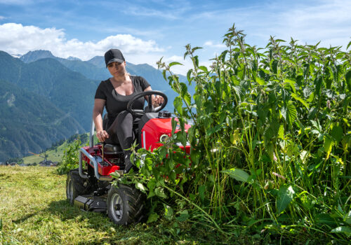 DSC_8160-Vylepšené-NR