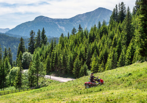 DSC_8631-VylepÁenā-NR