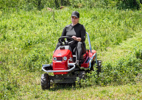 DSC_8645-Vylepšené-NR