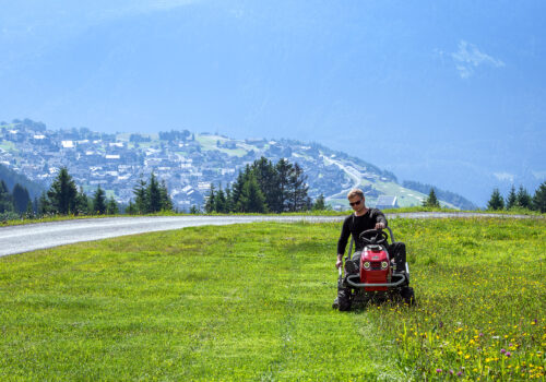 DSC_8871-Vylepšené-NR